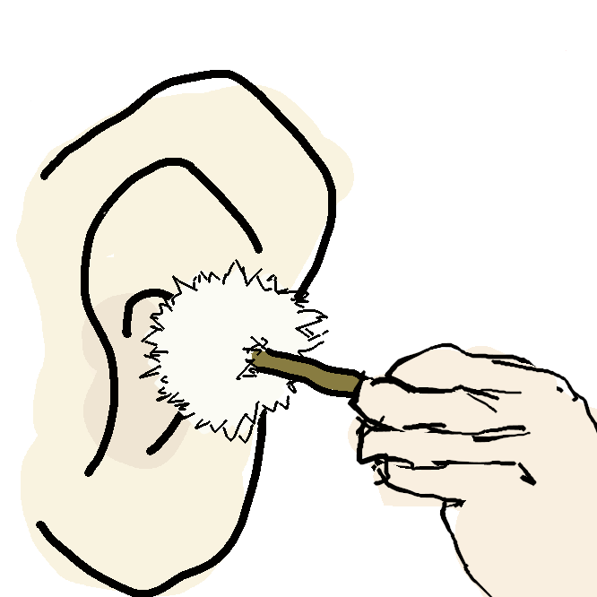 【梵天】耳かきの端についている、球状にした羽毛。細かな耳あかを払うためのもの。